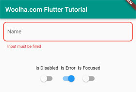 Flutter - Text Field - OutlineInputBorder - Error
