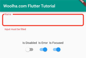 Flutter - Text Field - OutlineInputBorder - Focused Error